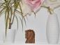 Preview: Sleipnir Schatulle - Puzzeldose aus Holz auf einem Regal zwischen Blumen